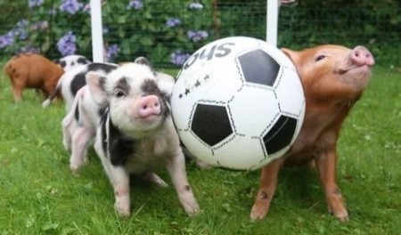 S mucikom drtime futbal..vyhrala som